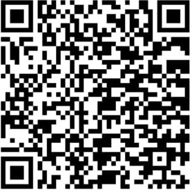 QR Code Pix — SW Rio Garage